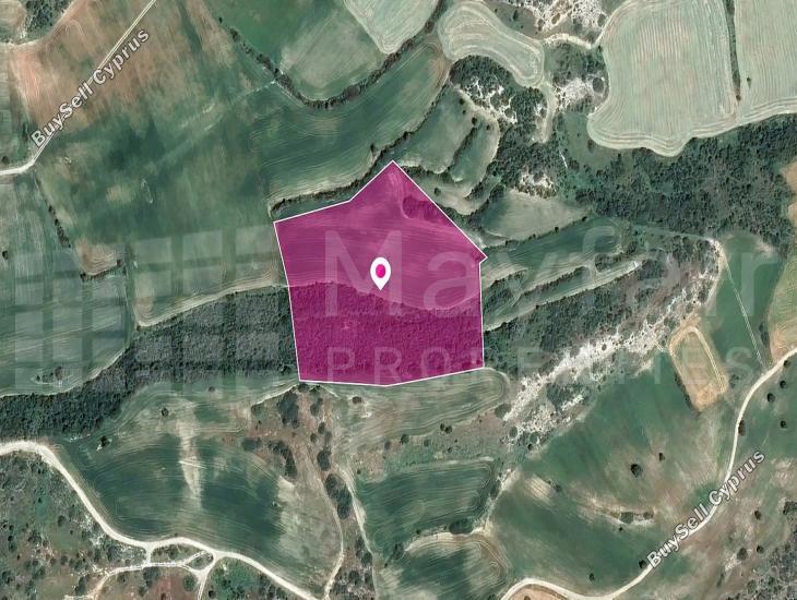land for sale agios theodoros larnacas larnaca 7872349 image 14892310