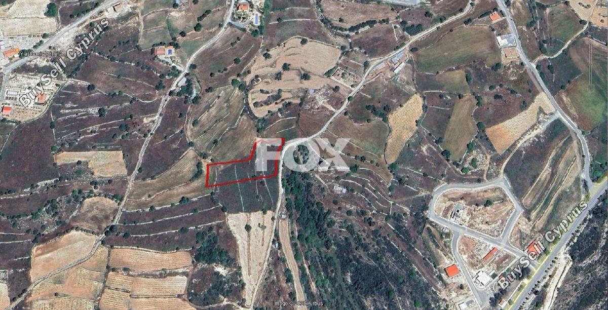 land for sale pachna limassol 1889349 image 7121754