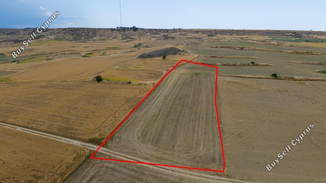 land for sale pera orinis nicosia 8587349 image 15682270