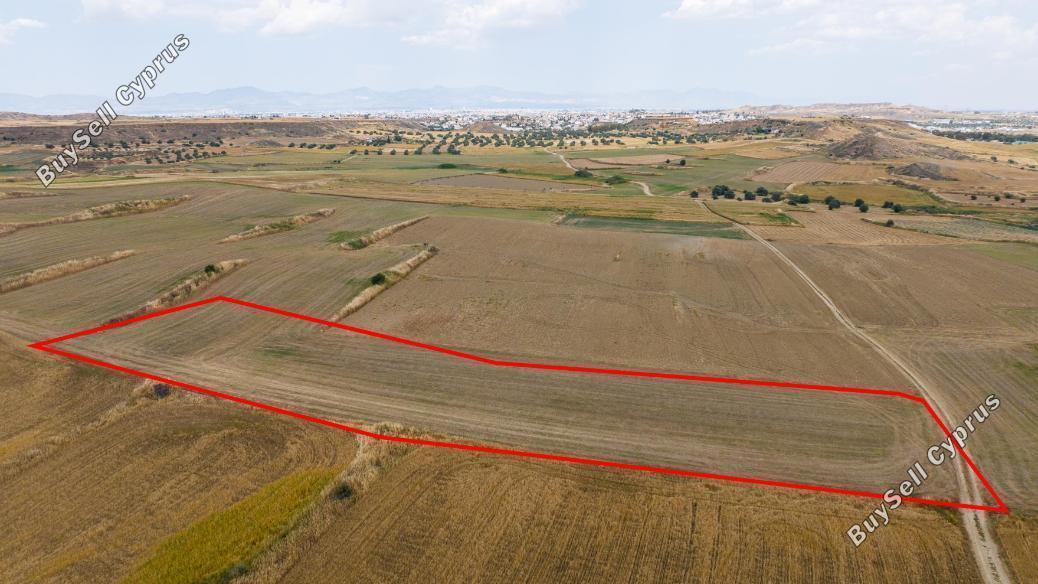 land for sale pera orinis nicosia 8587349 image 15682272