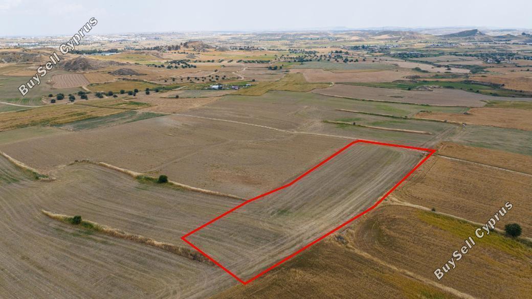 land for sale pera orinis nicosia 8587349 image 15682273