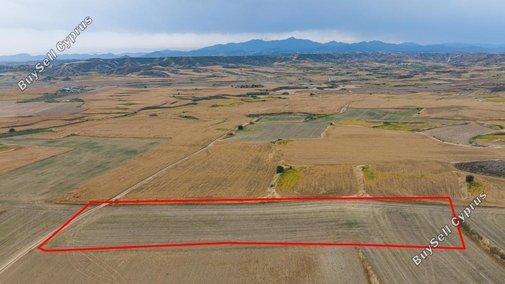 land for sale pera orinis nicosia 8587349 image 15682274