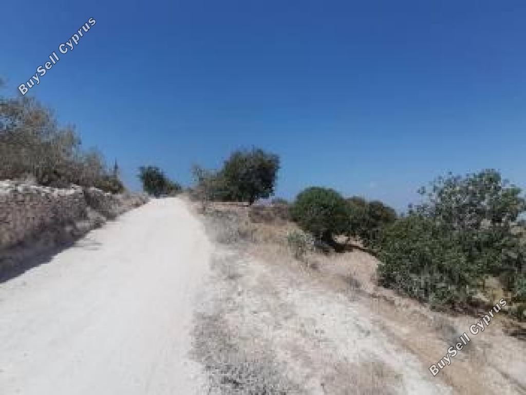 5686 SQM Land for sale in Koili, Paphos 16225085