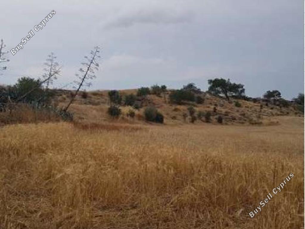 plot for sale latsia nicosia 1681449 image 16538508