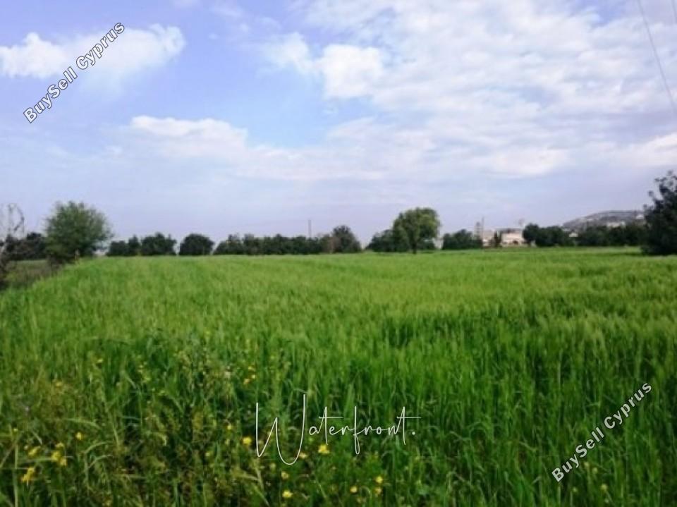 land for sale tremithousa paphos 8959549 image 17782592