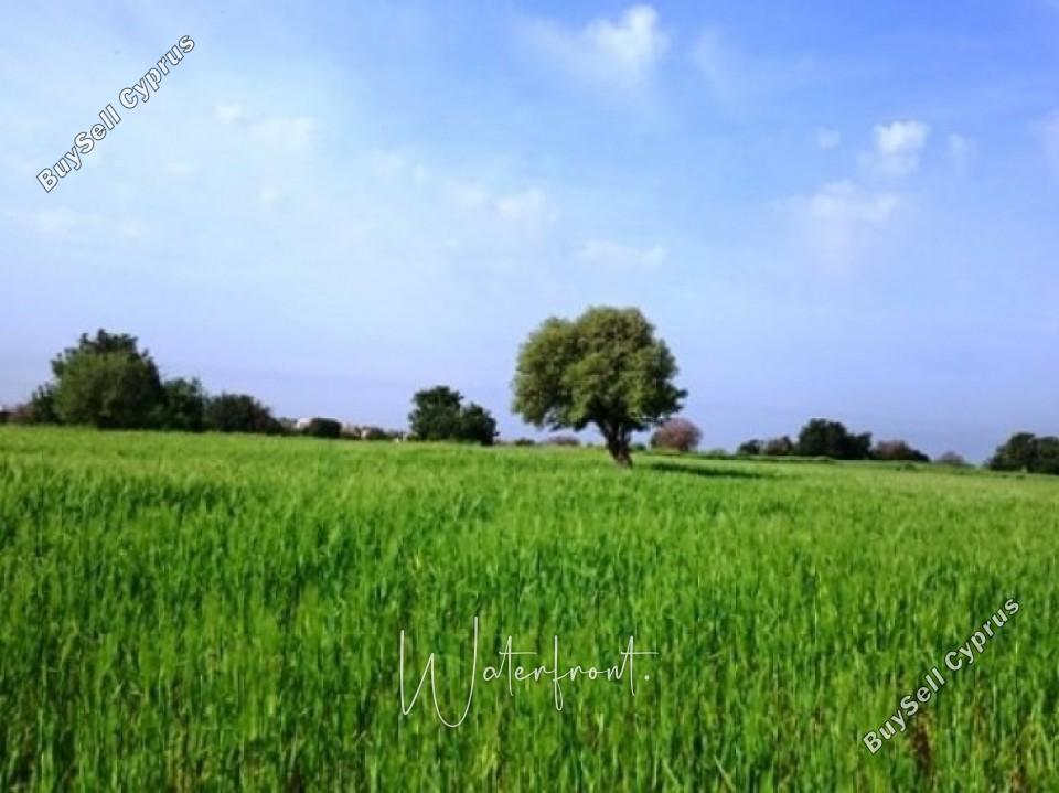 land for sale tremithousa paphos 8959549 image 17782593