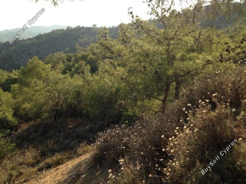 land for sale vavatsinia larnaca 1077549 image 15603248