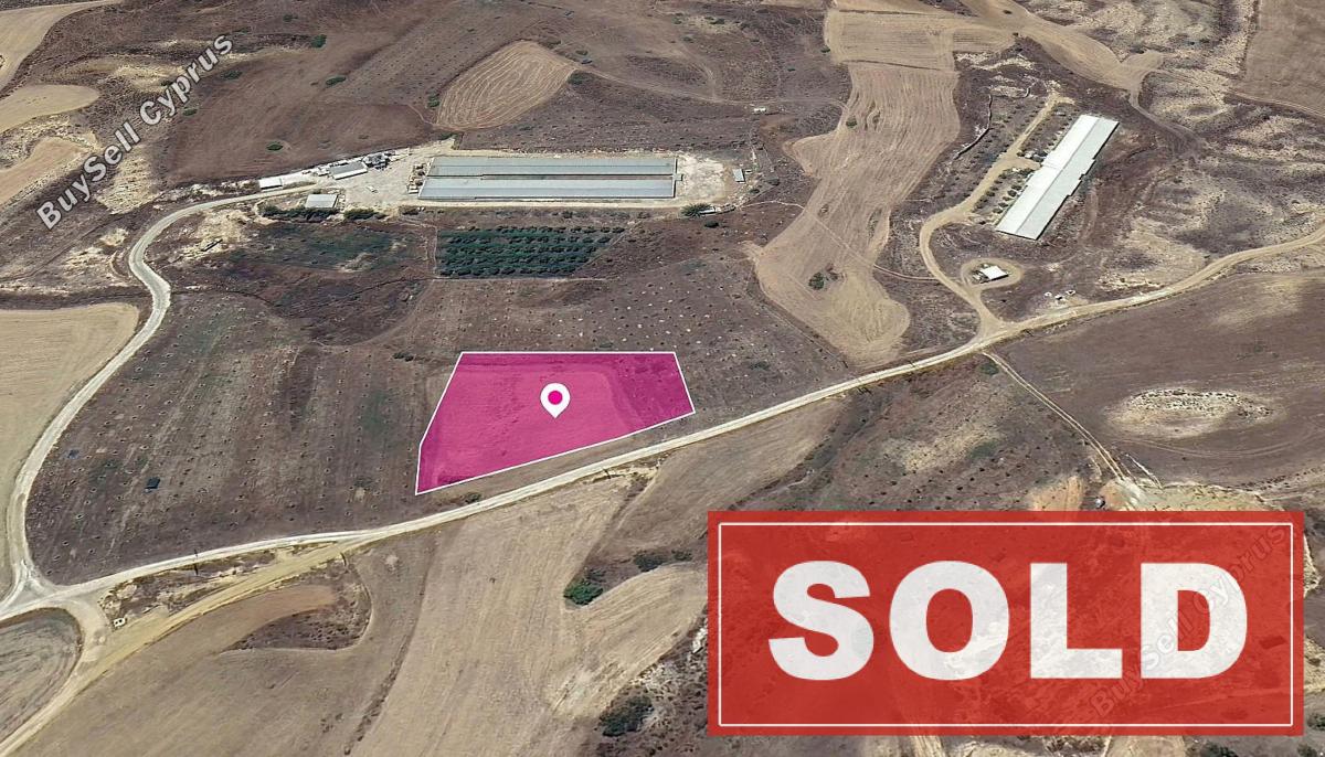 land sold kato koutrafas nicosia 1182549 image 3558617