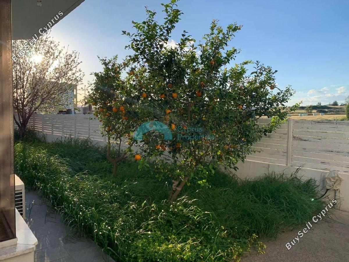 3 bedroom detached house for sale livadia larnacas larnaca 1847649 image 6770725