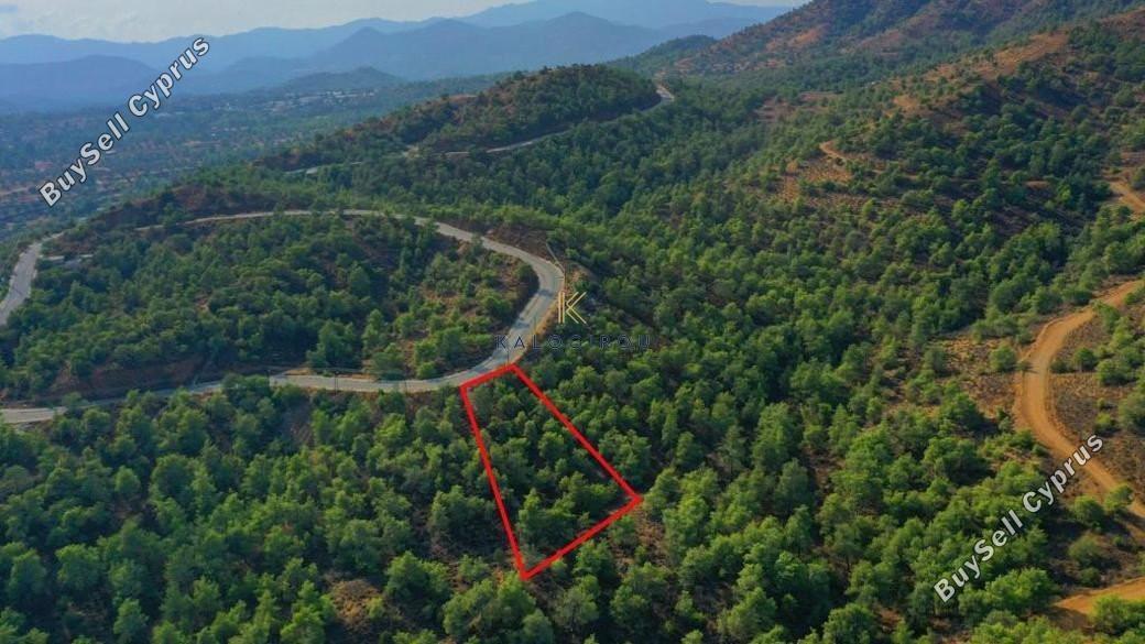 land for sale kornos larnaca 1194649 image 5568909