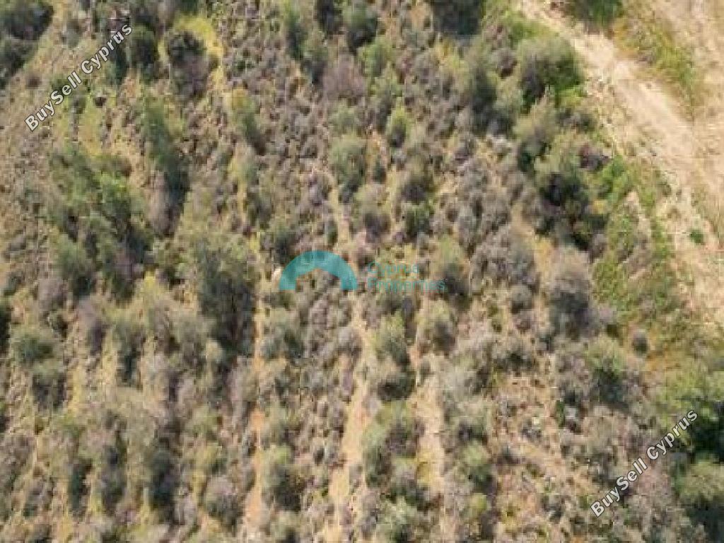 land for sale mosfiloti larnaca 8570649 image 15753801