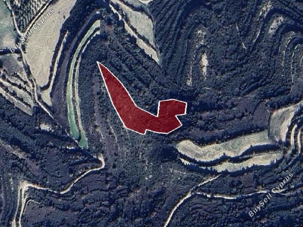 land for sale pachna limassol 8726649 image 16333085