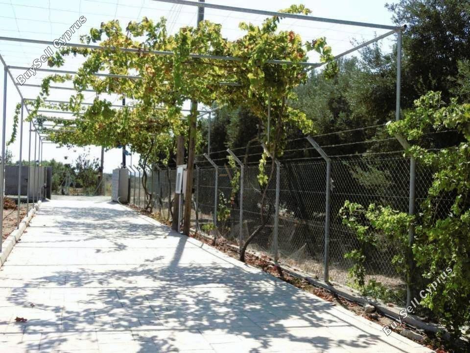 3 bedroom detached house for sale maroni larnaca 1396749 image 15360034