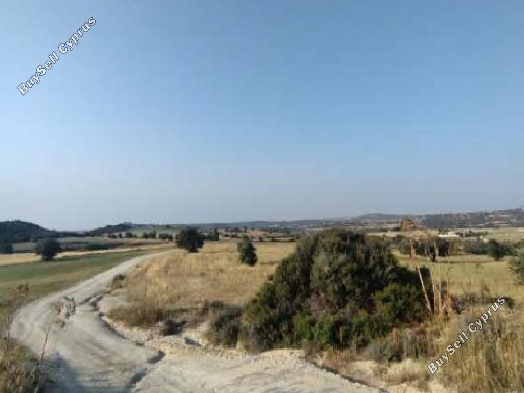 land for sale anafotida larnaca 1877749 image 15867438