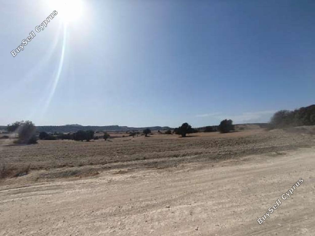 land for sale anafotida larnaca 1877749 image 17601372