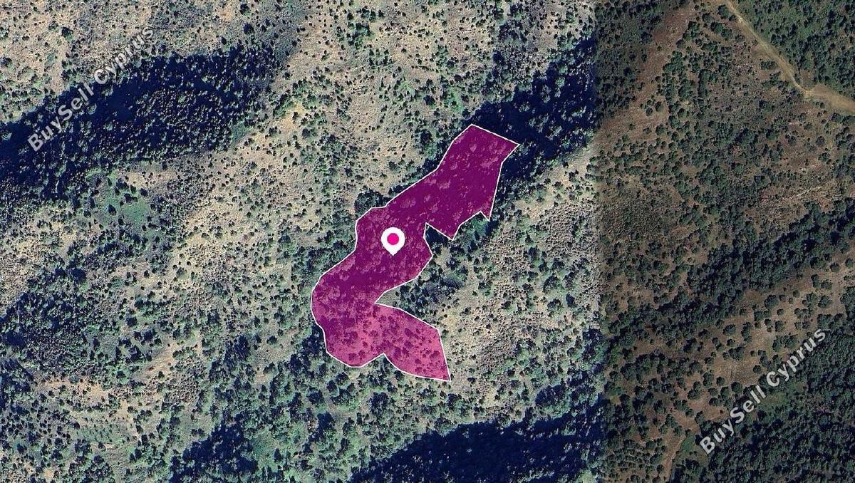 land for sale pomos paphos 1897749 image 14208163