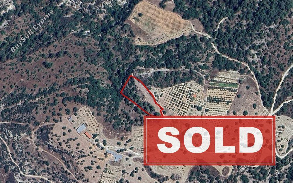 land sold archimandrita paphos 1427749 image 2809279
