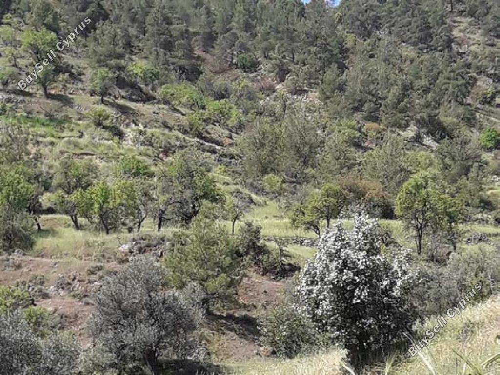 2174 SQM Land for sale in Agios Epifanios Oreinis, Nicosia 4794440