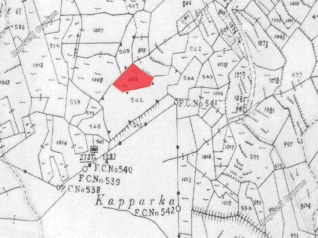 land for sale agios epifanios oreinis nicosia 1751849 image 4794432