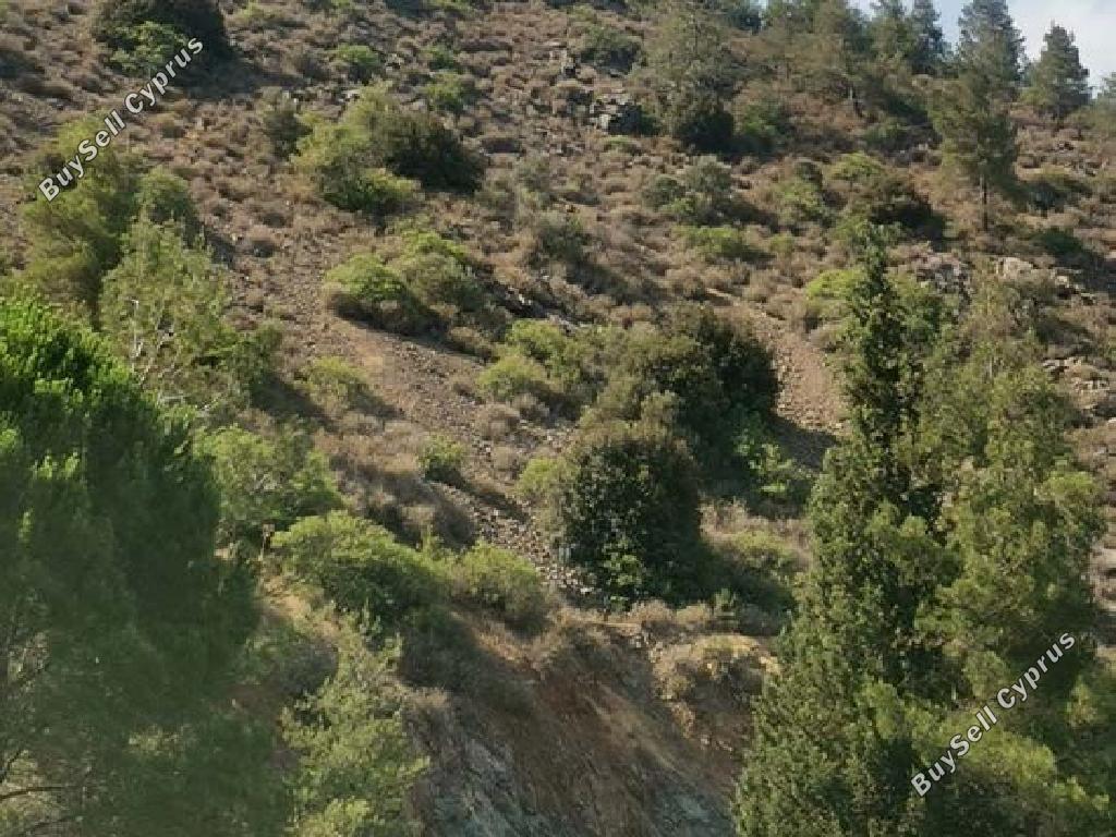 land for sale agios epifanios oreinis nicosia 1751849 image 4794439