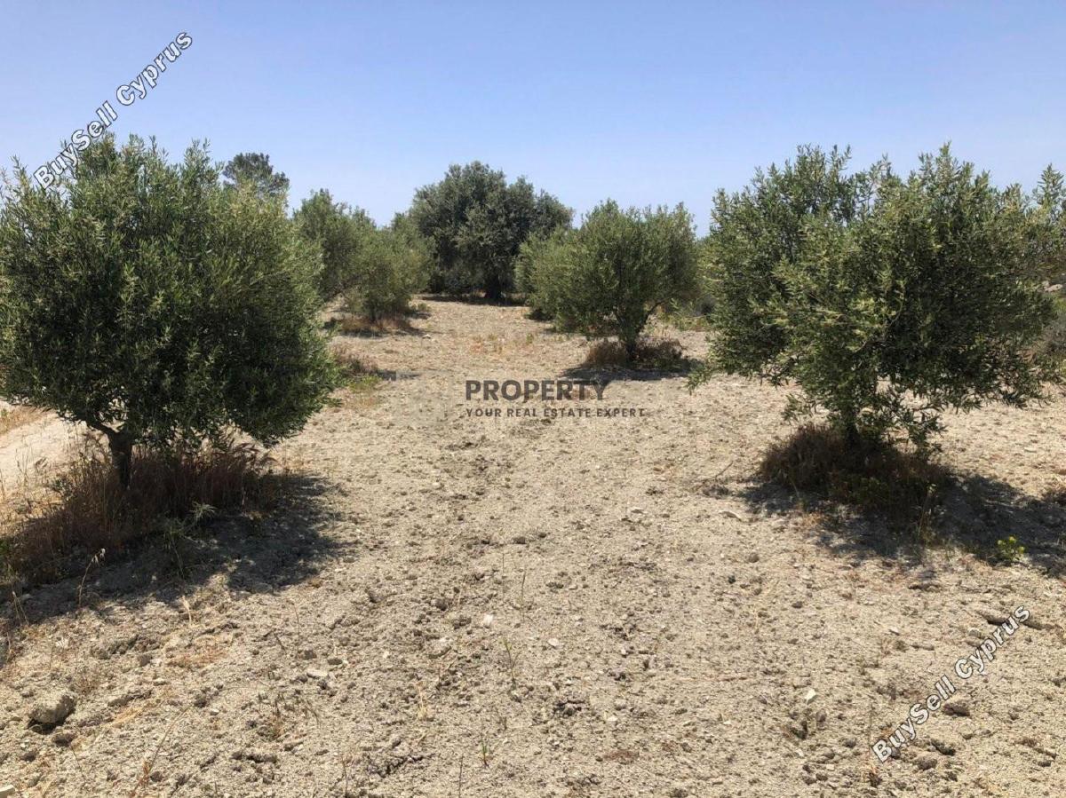 land for sale monagroulli limassol 1924849 image 12701248