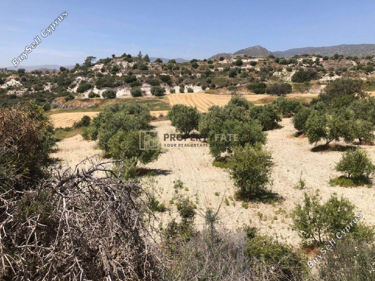 land for sale monagroulli limassol 1924849 image 12701249