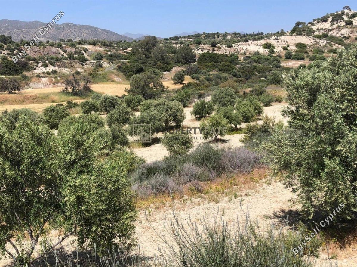 land for sale monagroulli limassol 1924849 image 12701251