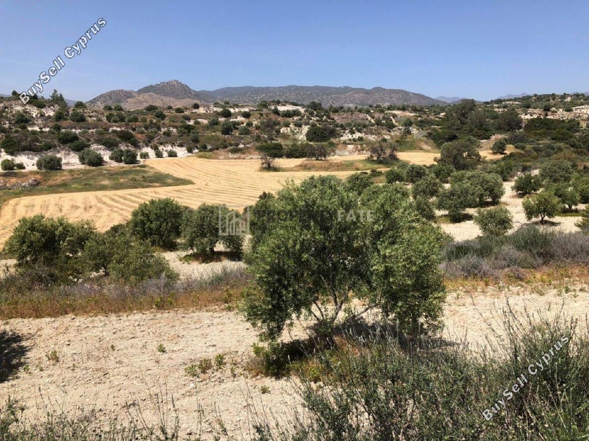 land for sale monagroulli limassol 1924849 image 12701256