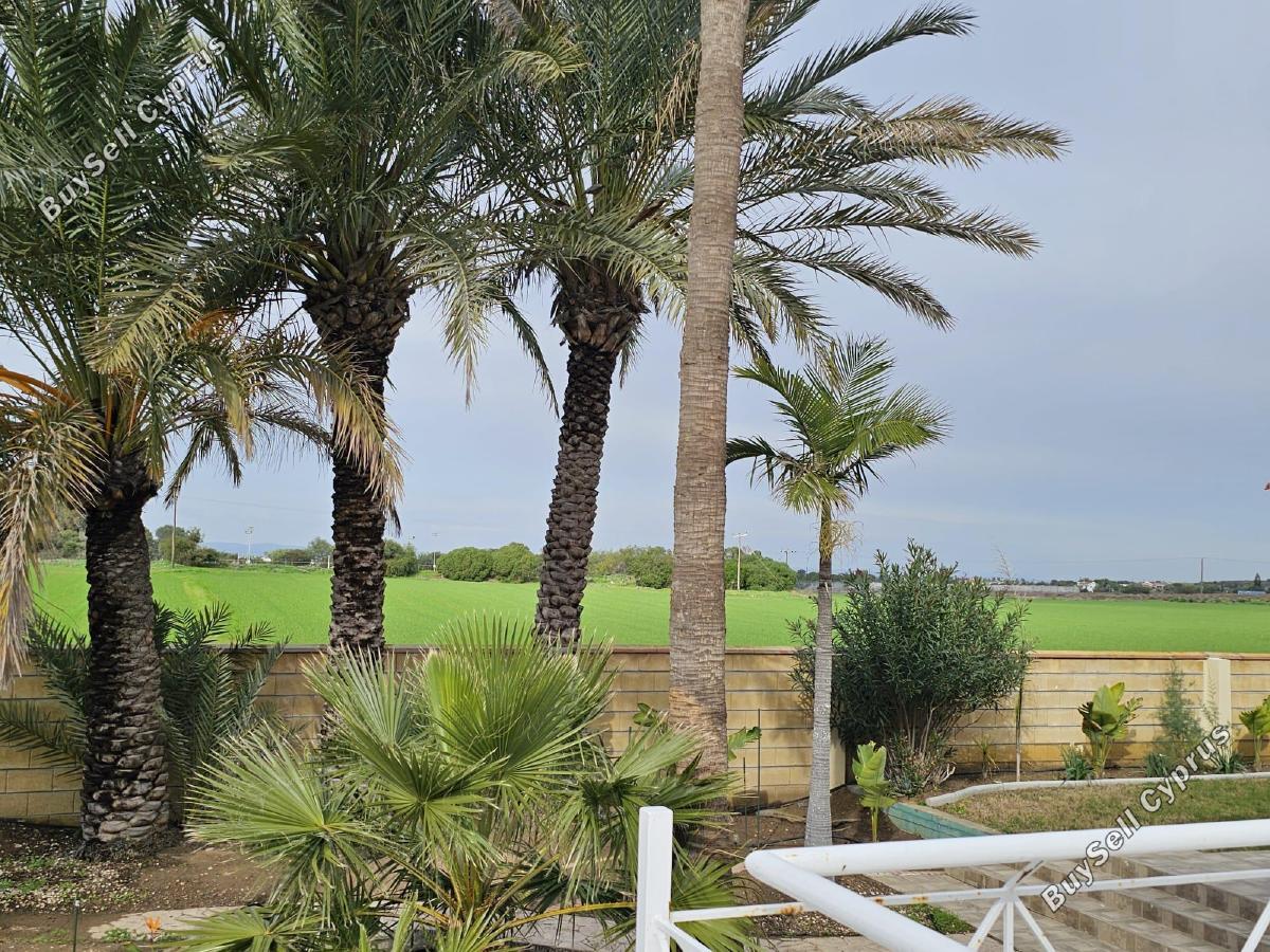 3 bedroom detached house for rent pervolia larnaca 8771949 image 17036018