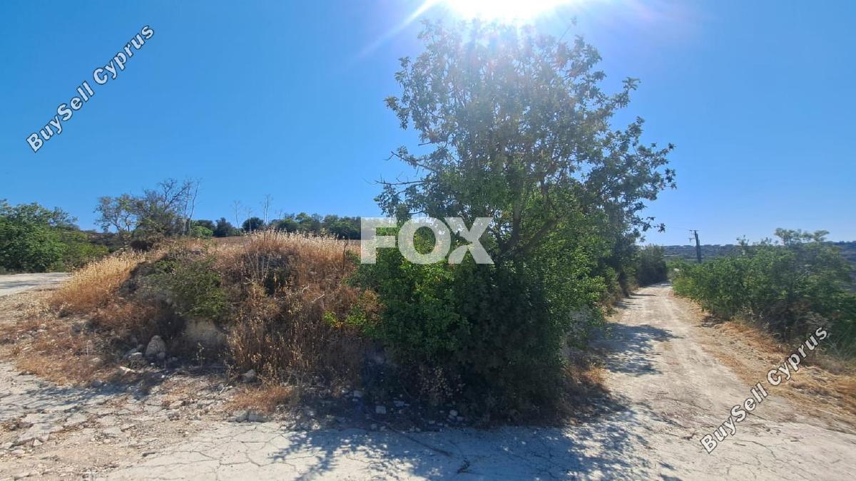 land for sale koili paphos 1307949 image 14831267