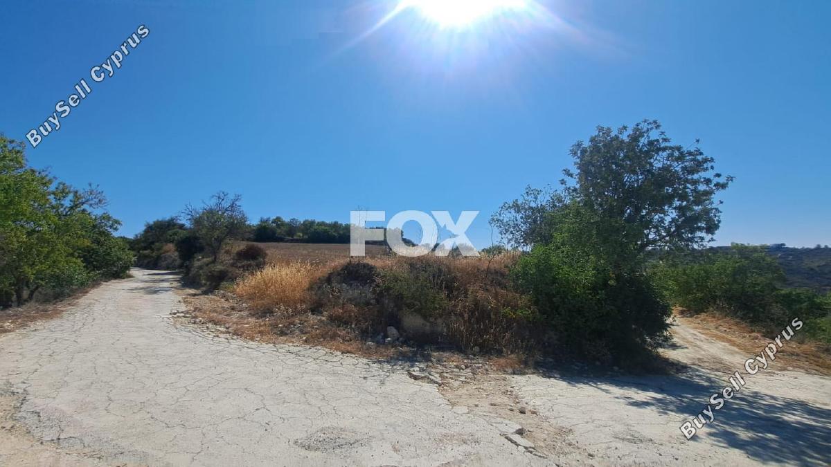 land for sale koili paphos 1307949 image 14831269