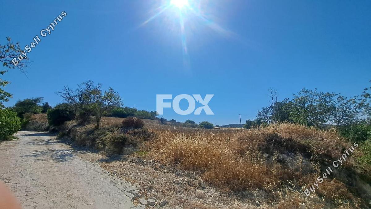 land for sale koili paphos 1307949 image 14831271