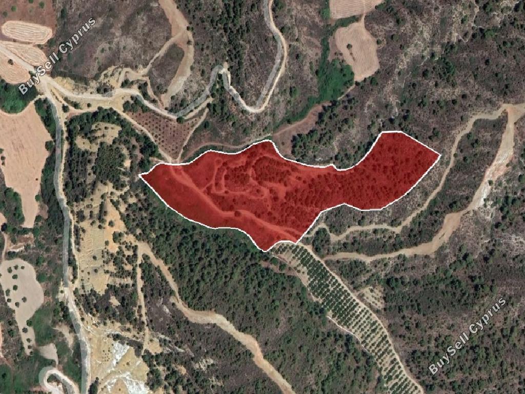 land for sale pelathousa paphos 945949 image 15598614