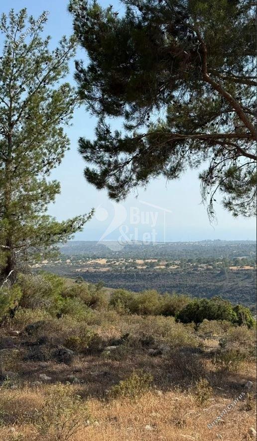 land for sale souni zanakia limassol 1858949 image 12586417