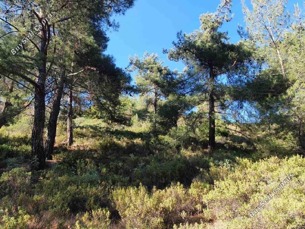 land for sale pera pedi limassol 8659059 image 16530450