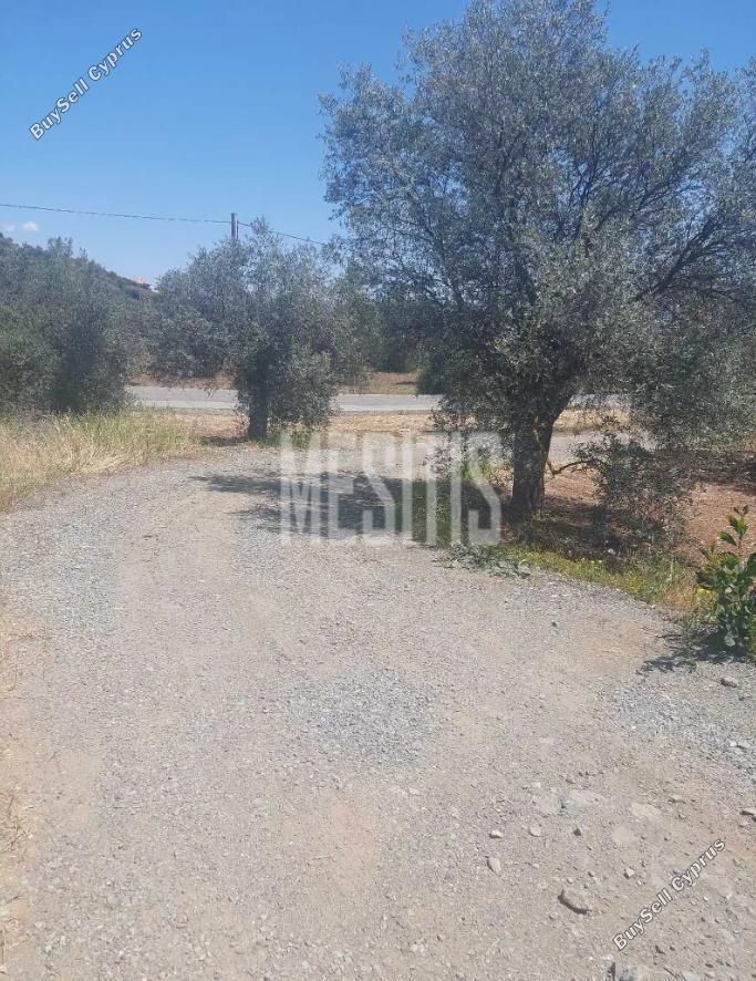 plot for sale kornos larnaca 7940059 image 11310301