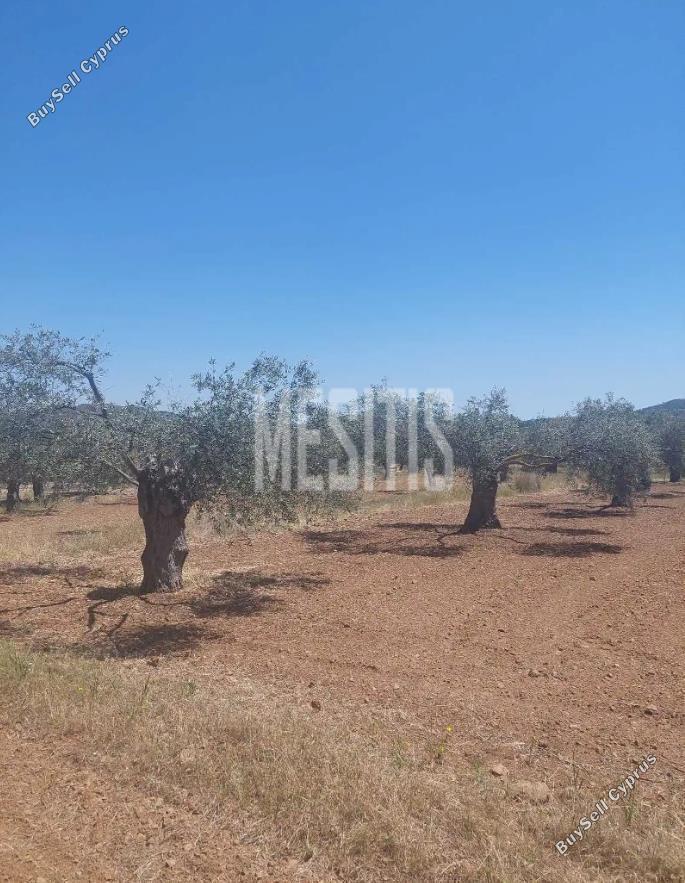 plot for sale kornos larnaca 7940059 image 11310302