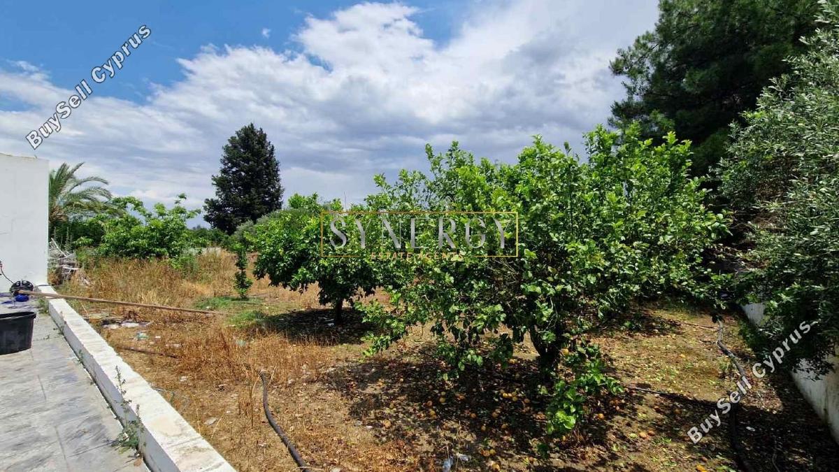 3 bedroom detached house for sale dali nicosia 1883159 image 7042264