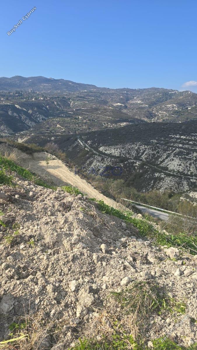 land for sale laneia limassol 9004159 image 18391878