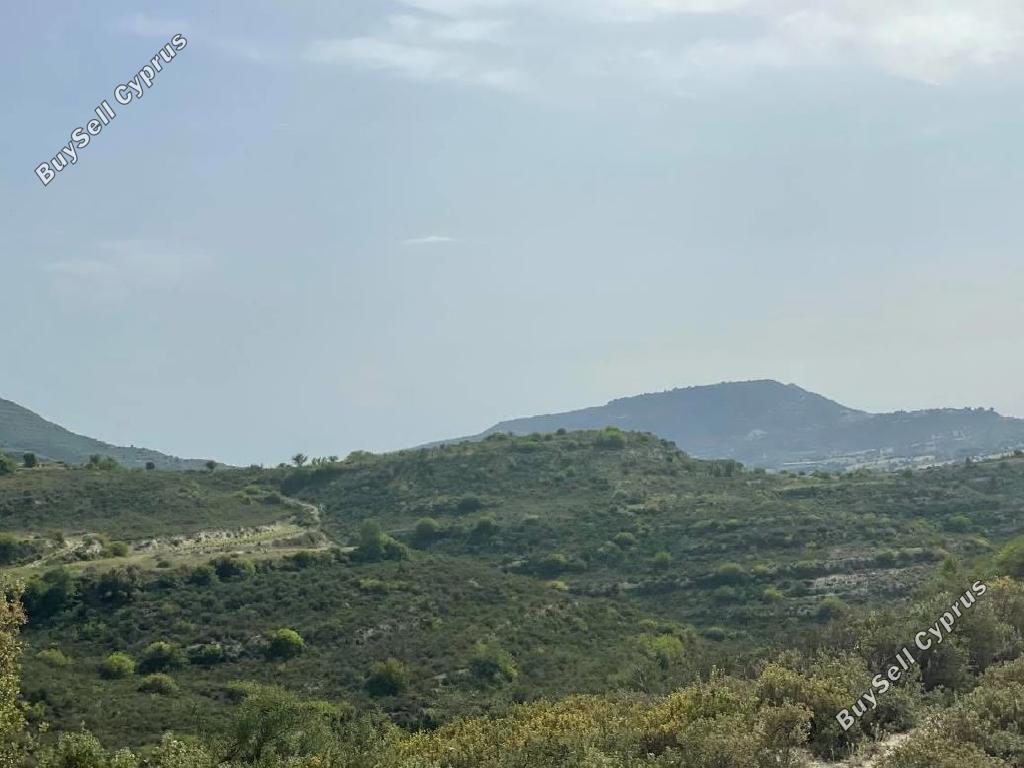 land for sale pachna limassol 1188259 image 15600711