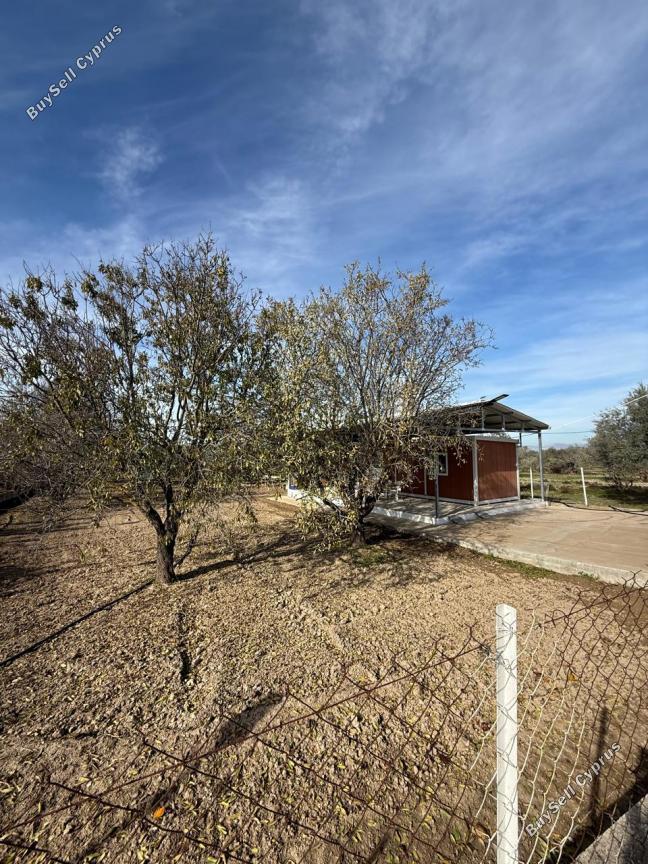 plot for sale athienou larnaca 8026259 image 12849472