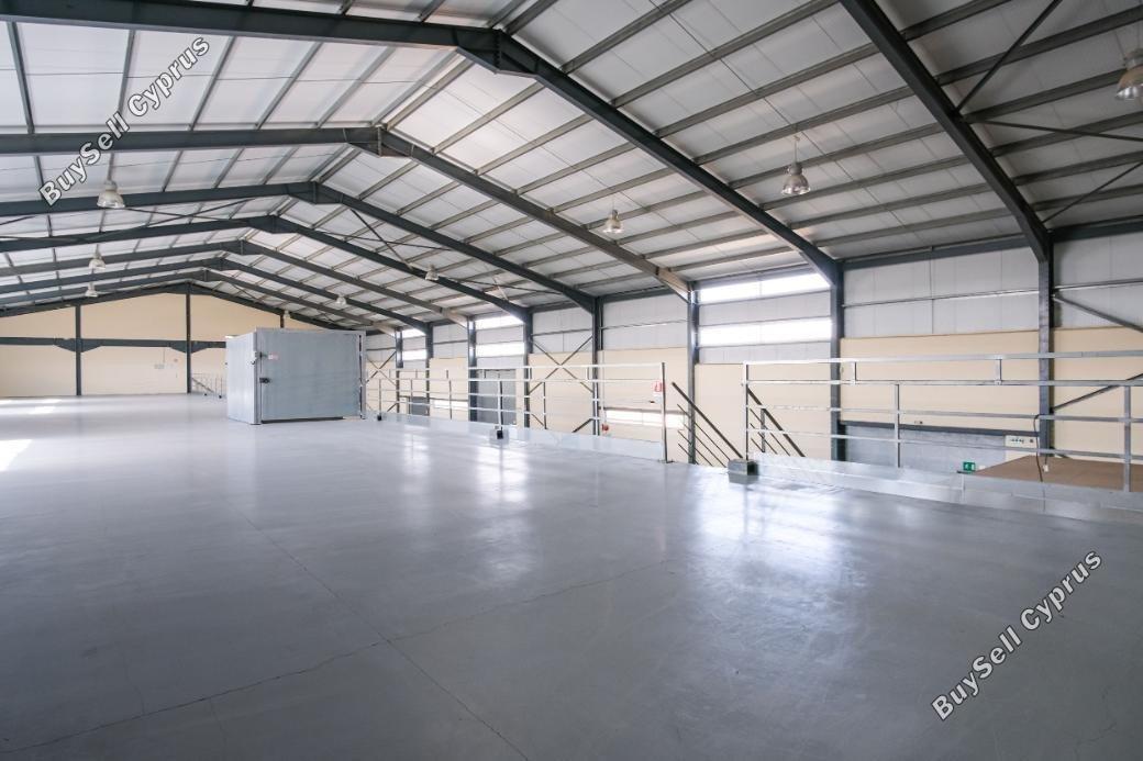 studio warehouse for sale dali nicosia 1680259 image 6352391