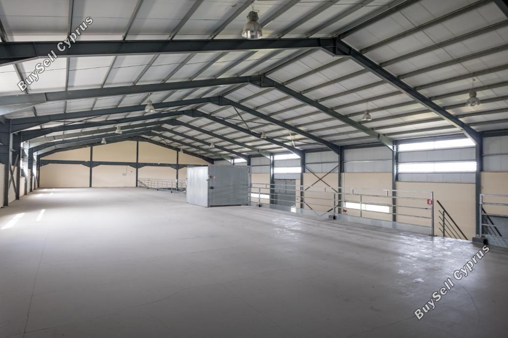 studio warehouse for sale dali nicosia 1680259 image 6352395