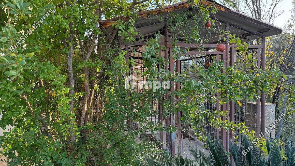 5 bedroom detached house for sale kornos larnaca 1730359 image 5557648