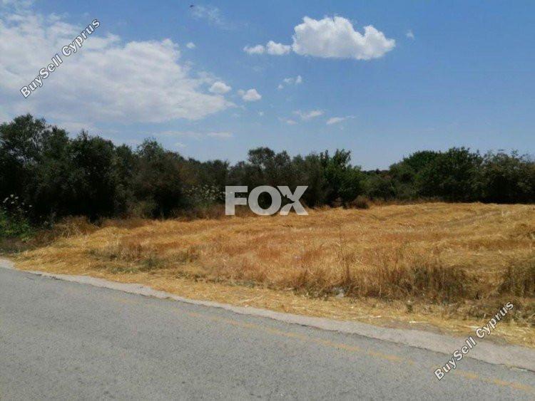 land for sale kathikas paphos 1161359 image 5557414