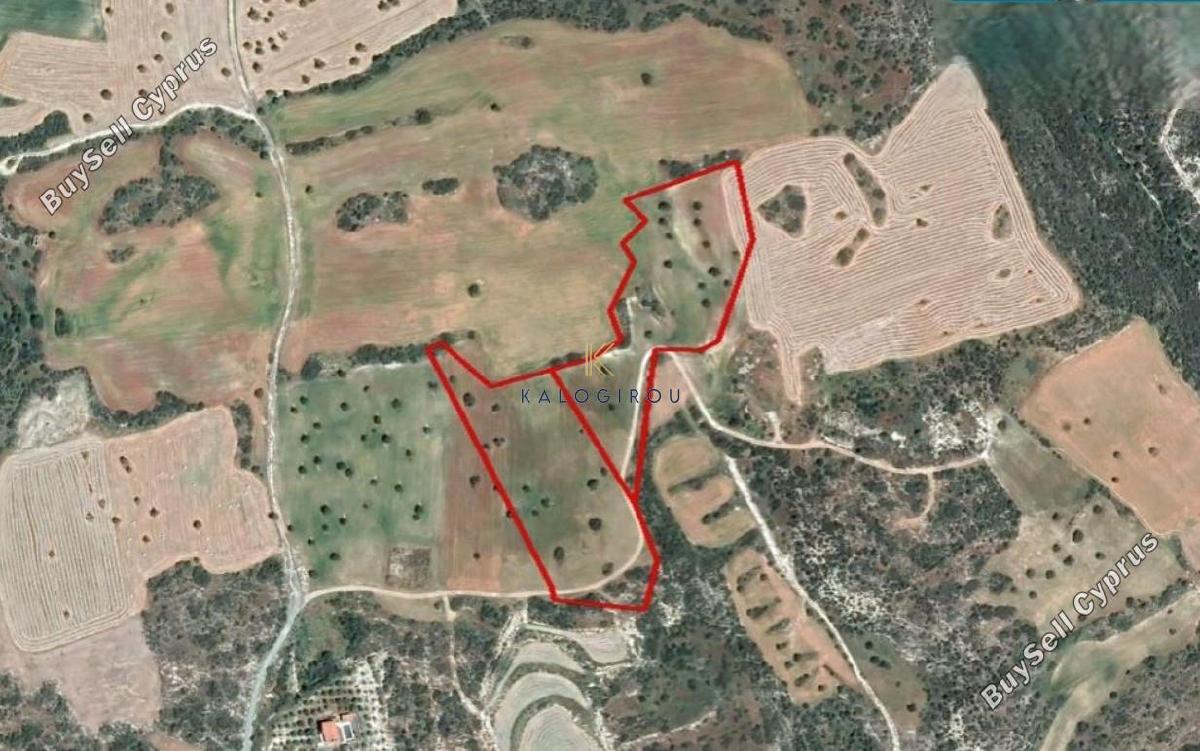 land for sale agios theodoros larnacas larnaca 7986459 image 11945138