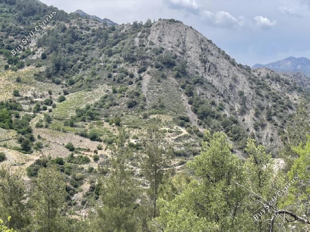 land for sale gourri nicosia 8106459 image 15596127