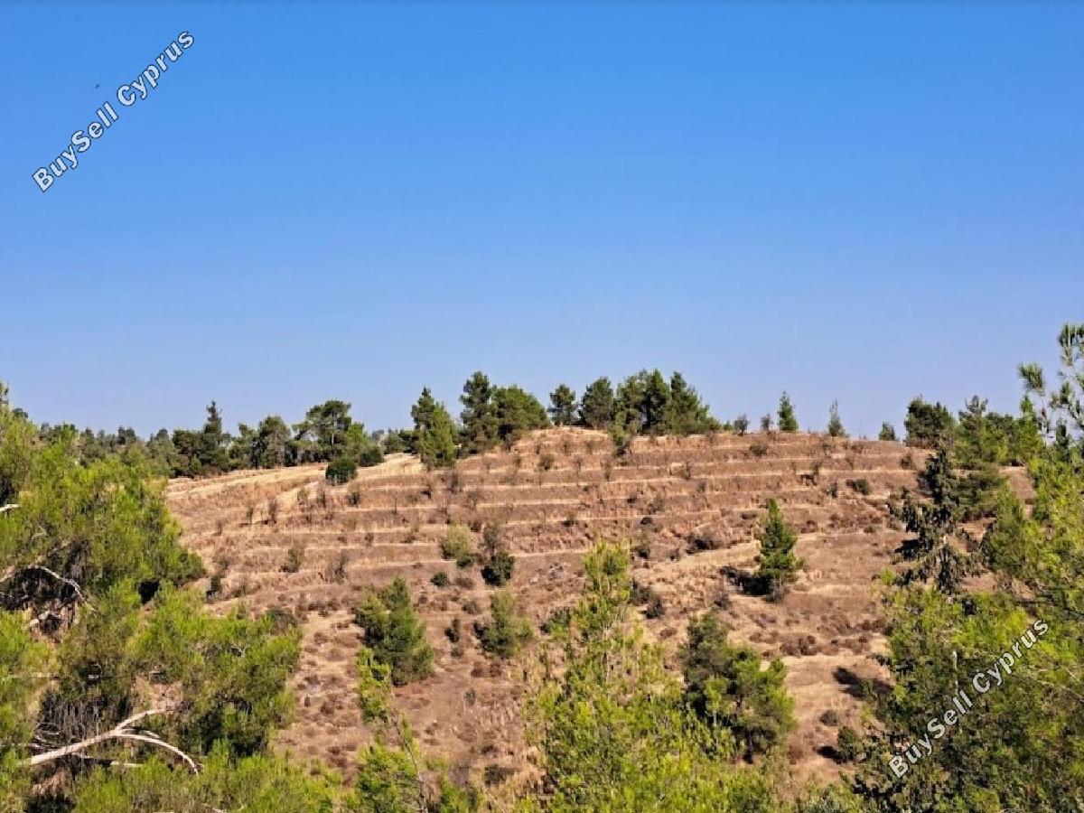 4915 SQM Land for sale in Agios Epifanios Oreinis, Nicosia 16332067