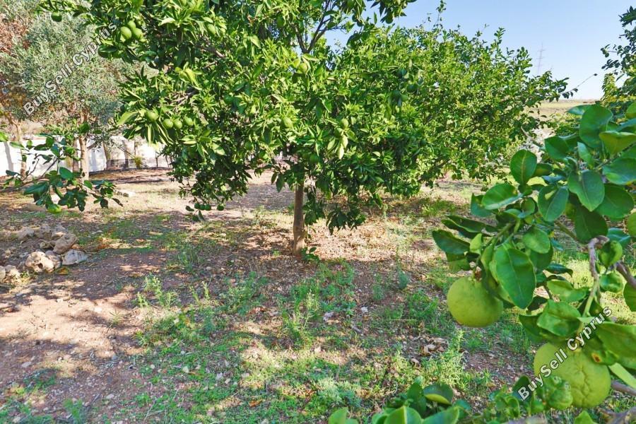 2 bedroom bungalow for sale choletria paphos 7737559 image 10191870