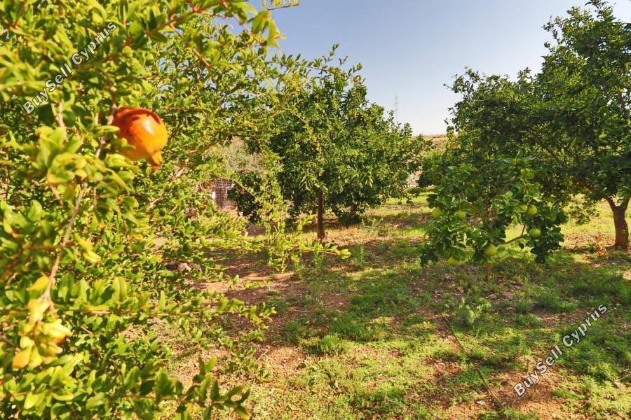 2 bedroom bungalow for sale choletria paphos 7737559 image 10191871